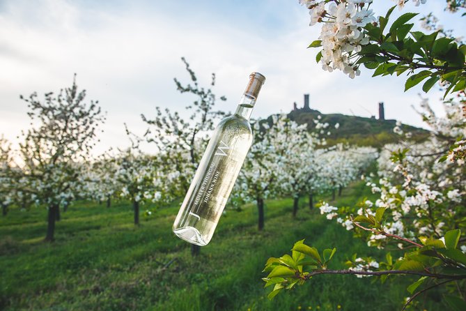 A delightful wine tasting in the scenic countryside with lunch - Key things I’d circle before you book