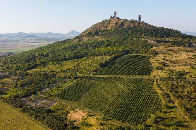 A delightful wine tasting in the scenic countryside with lunch - Why this countryside wine day feels different from Prague tours