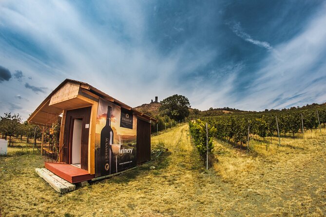 A delightful wine tasting in the scenic countryside with lunch - How long it really takes—and how the day is paced
