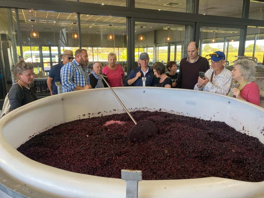 Adelaide: Barossa Premium Wine Tasting tour & Winery Lunch - Tanunda Break: Coffee, Shops, and Reset Time