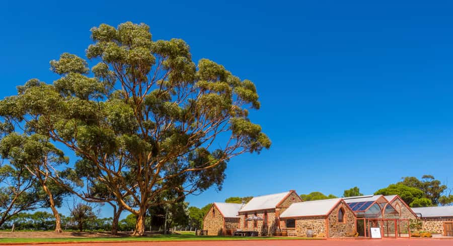 Adelaide: Half-day McLaren Vale & Glenelg Wine Tasting Tour - Adelaide Hills drive: where the guide adds real context