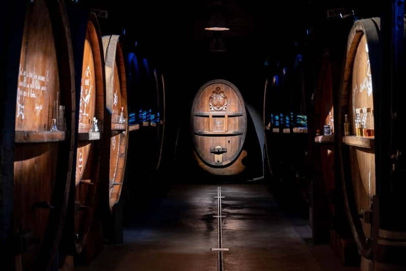 Alsace: Alsatian Wine Tasting Tour and Alsatian Lunch - Should you book this Alsatian wine tasting and lunch tour?