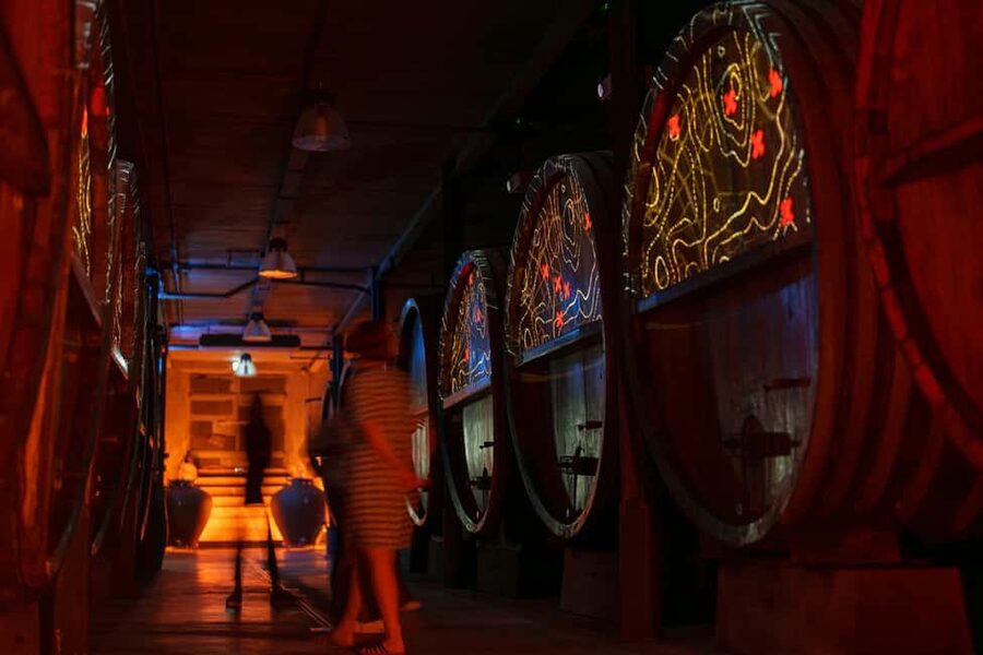 Alsace: Alsatian Wine Tasting Tour and Alsatian Lunch - Alsace wine tasting and lunch at Au Péché Vigneron: the real vibe
