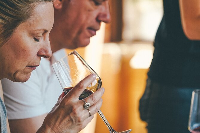 Amarone Wine-tasting Tour from Verona with Private Transportation - Key highlights you’ll actually care about