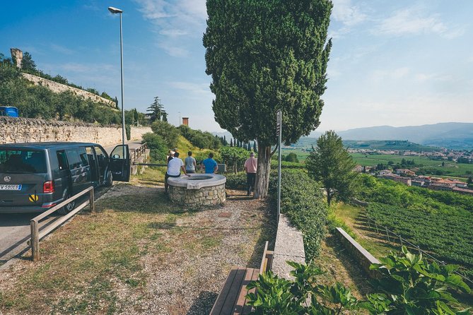 Amarone Wine-tasting Tour from Verona with Private Transportation - How the small group and private van change the experience