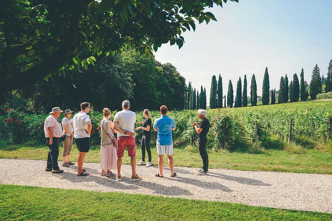 Amarone Wine-tasting Tour from Verona with Private Transportation - Stop 2: Sant’Ambrogio di Valpolicella and two wineries with tastings