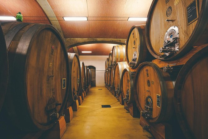 Amarone Wine-tasting Tour from Verona with Private Transportation - The Amarone angle: what you’re really learning while tasting