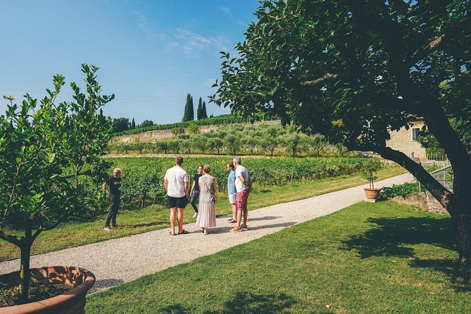 Amarone Wine-tasting Tour from Verona with Private Transportation - Food pairing and what to tell your host in advance