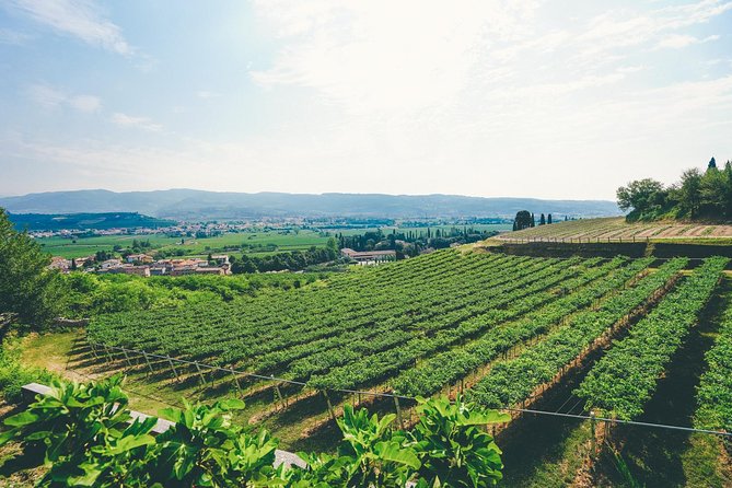 Amarone Wine-tasting Tour from Verona with Private Transportation - Meeting point at Teatro Ristori: quick start, no hotel chaos