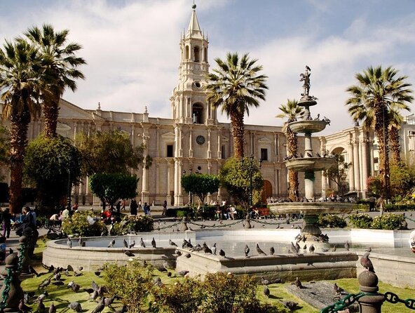 Arequipa Tasting Tour - Key things to know before you go