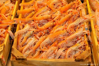 Athens Shore Excursion: Small-Group Food Tour - Varvakeios Food Market: Where Athens Flavors Get Real
