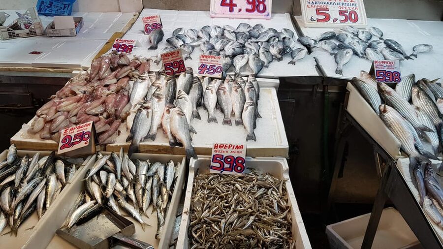Athens: Traditional Greek food tour in hidden spots - Wine from the barrel, plus ouzo or rakia