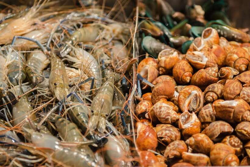 Bangkok: Chinatown Night Food Tour - Why Yaowarat’s Night Food Walk Works