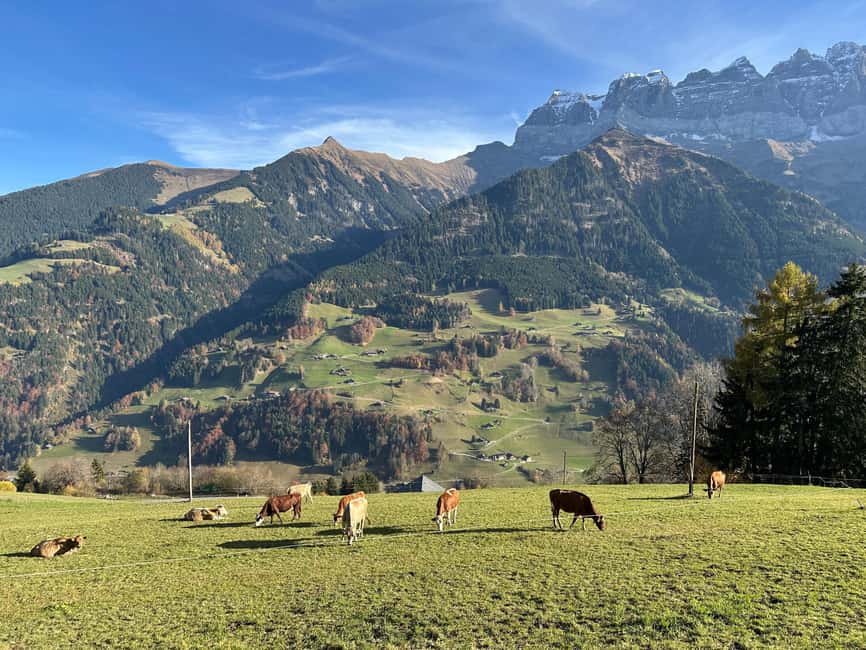 Basel: Local Cheese Tasting Tour with a Cheese Sommelier - Why this Basel cheese tour beats a typical food stop