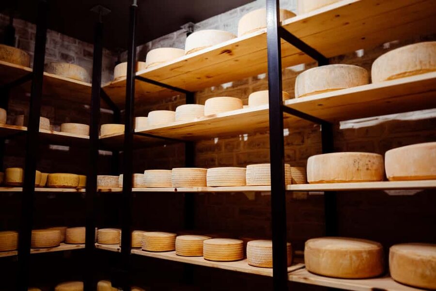 Basel: Local Cheese Tasting Tour with a Cheese Sommelier - Gruyère AOP and the AOP cheesemaking process, explained without the snooze