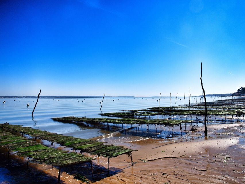 Bay of Arcachon: Guided Food Tour - Cap Ferret or Le Canon: picking your oyster-village route