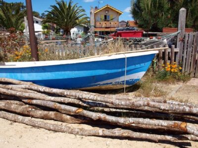 Bay of Arcachon: Guided Food Tour - Walking with Alain: how the guide changes the whole meal