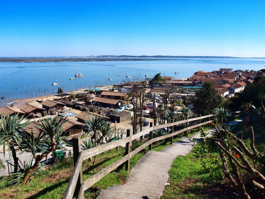 Bay of Arcachon: Guided Food Tour - Drinks, pace, and how to avoid the usual food-tour letdown