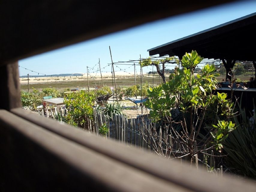 Bay of Arcachon: Guided Food Tour - What to bring (and what to expect on a seaside peninsula)
