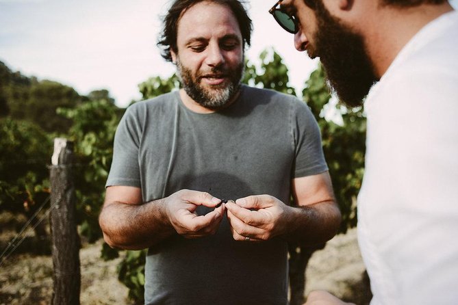 Bertrand Bosc wine and food tour in Pic St Loup - Key things that make this Pic St Loup tour worth your time