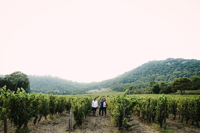 Bertrand Bosc wine and food tour in Pic St Loup - Pic Saint-Loup and the family lunch: the experience you’ll remember