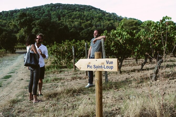 Bertrand Bosc wine and food tour in Pic St Loup - A quick medieval stroll at Maison des Consuls