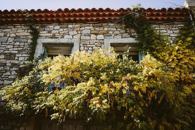 Bertrand Bosc wine and food tour in Pic St Loup - Valflaunes road trip: countryside time without a big hike