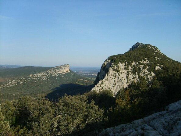 Bertrand Bosc wine and food tour in Pic St Loup - Mas Gourdou winery: vineyard walk and wine tasting in a real setting
