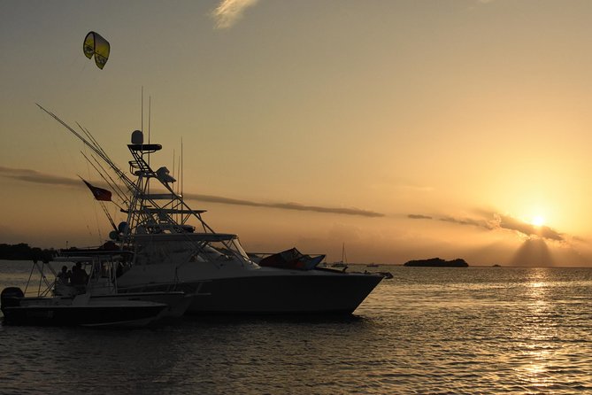 Bio Bay Magic and Rum Tasting Tour from San Juan - Key highlights worth planning for