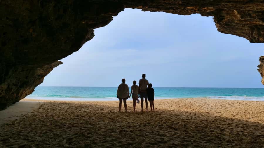 Boa Vista: Shark, Turtles, Cave, Sandboarding & Tasting Tour - Turtle Bay and Shark Bay: How to Spot Wildlife Without Setting Yourself Up to Fail