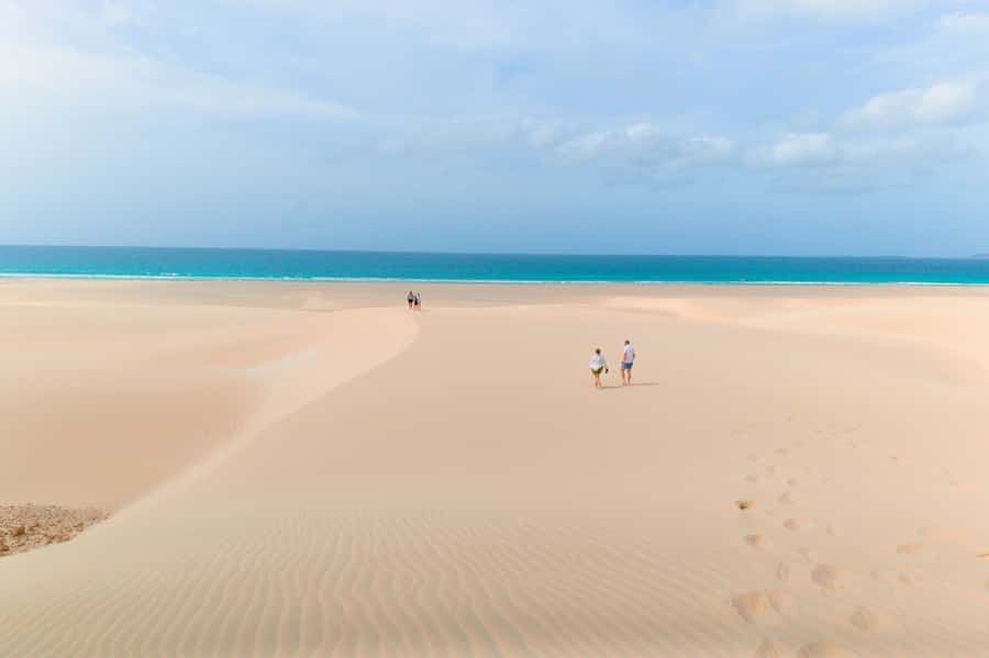 Boa Vista: Shark, Turtles, Cave, Sandboarding & Tasting Tour - Who This Tour Is Best For (and When to Choose Something Else)