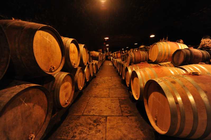 Burgundy Wines Full-Day Tasting Tour from Dijon - From Dijon to the Côte d’Or: The Day Starts Early and Stays Efficient