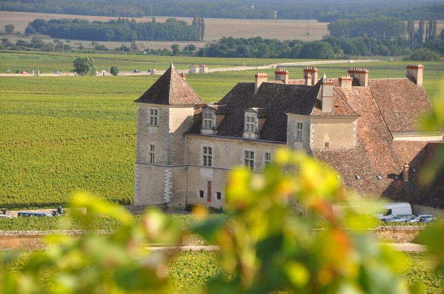 Burgundy Wines Full-Day Tasting Tour from Dijon - Up to 10 Tastings: How the Wines Teach You Burgundy