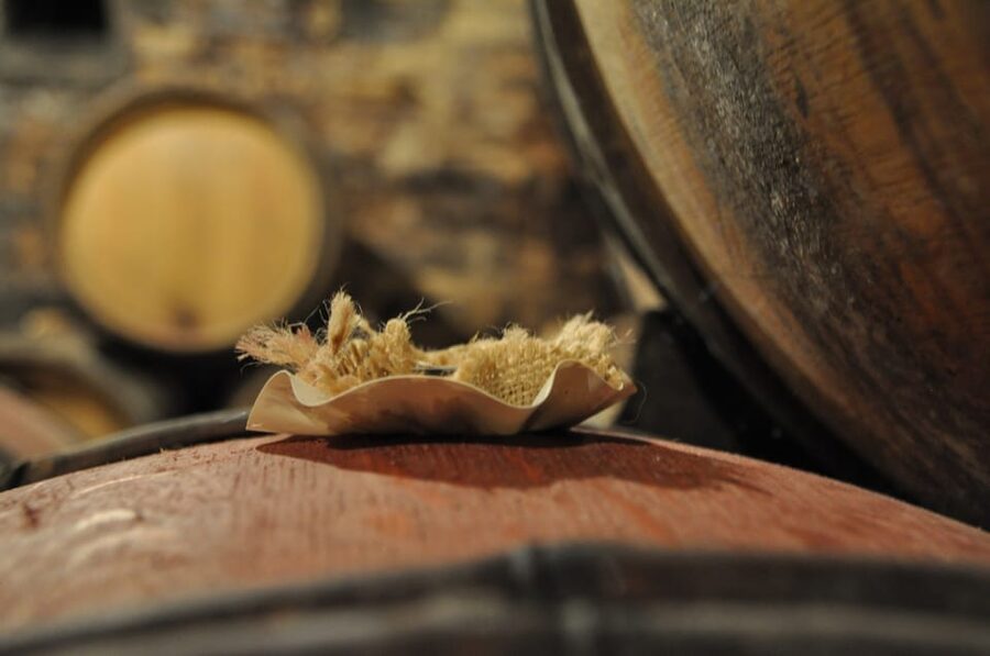 Burgundy Wines Full-Day Tasting Tour from Dijon - Beaune Time: The Champs Élysées of Burgundy (Plus Lunch on Your Terms)