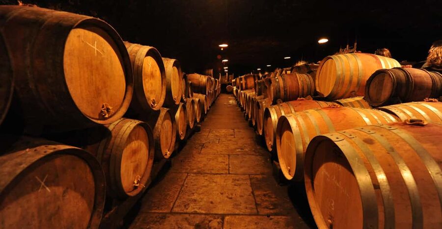 Burgundy Wines Full-Day Tasting Tour from Dijon - Corton Hills Views: The Côte de Beaune Makes Sense Fast