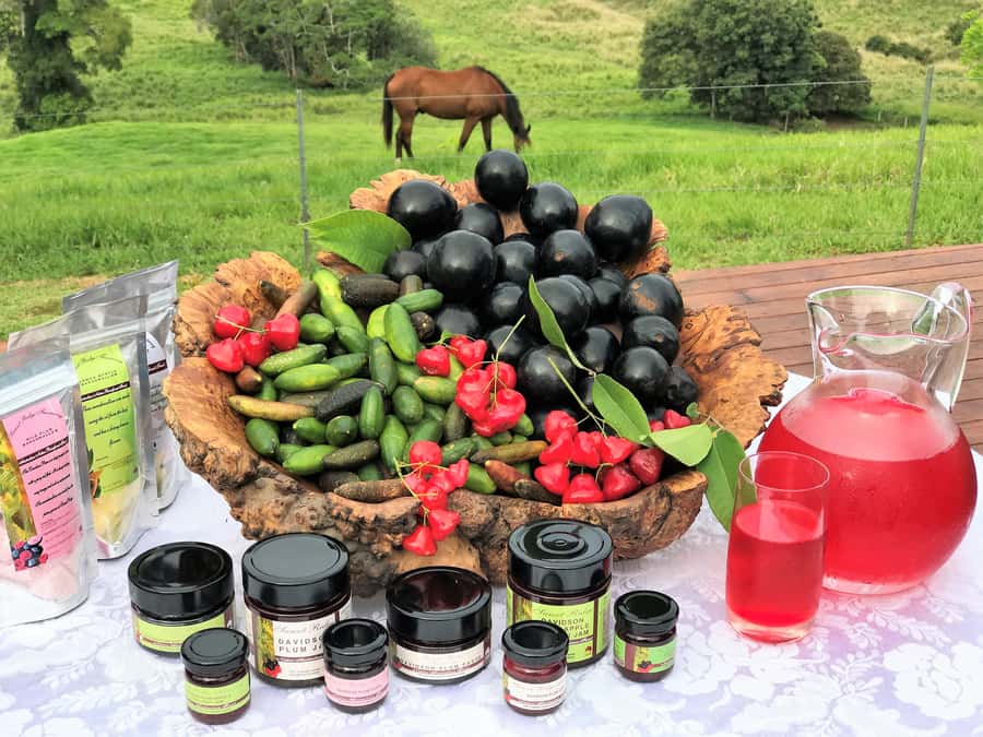 Cairns: Atherton Tablelands Full-Day Adventure - The Humpy: Quick Market Time for Tropical Snacks and Pantry Finds