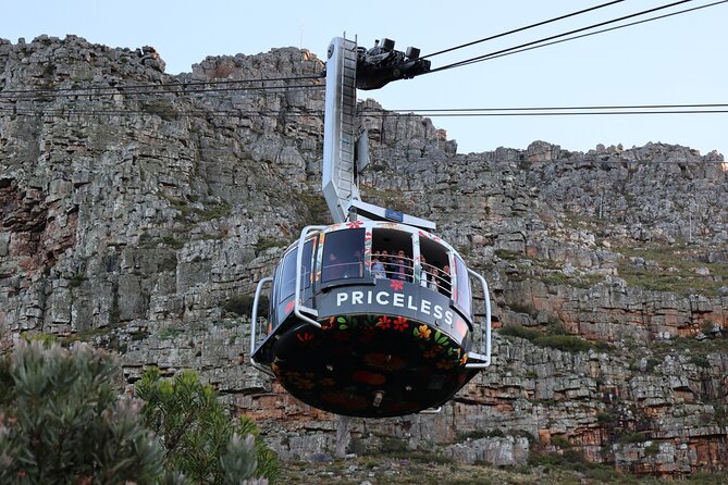 Cape Town: Cape of Good Hope, Table Mountain & Wine Tasting Tour - Pickup, timing, and the “small group” advantage