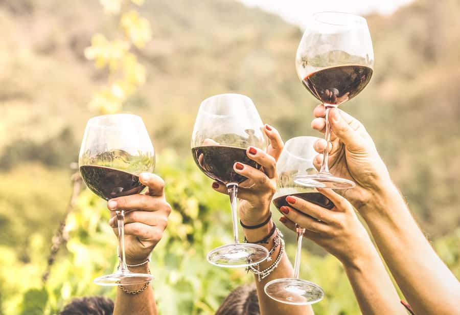 Cape Town: Full-Day Wine Tasting Tour with Wine Tram - The Wine Tram in Franschhoek: How to Make It Fun Instead of Confusing