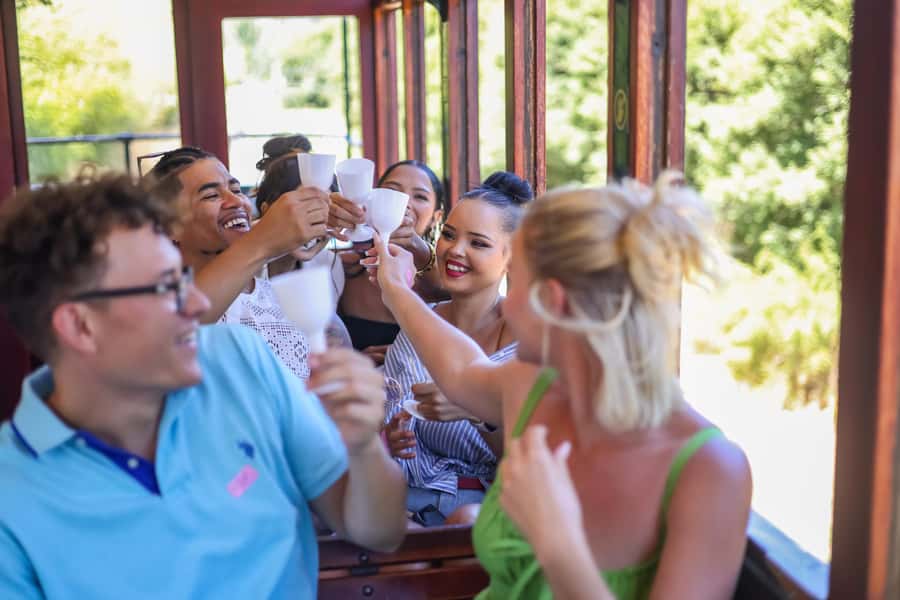 Cape Town: Full-Day Wine Tasting Tour with Wine Tram - Pricing and Value: Why $80 Can Feel Fair Here