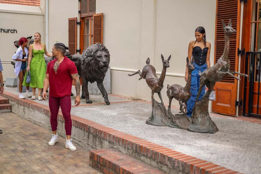 Cape Town: Full-Day Wine Tasting Tour with Wine Tram - Who This Tour Suits Best (and Who Might Prefer Something Else)