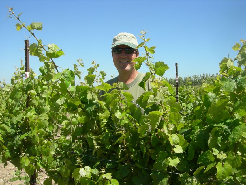 Carmel Valley Wine Tasting Tour - Who this tour fits best (and who should choose something else)