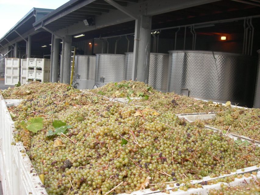 Carmel Valley Wine Tasting Tour - Small-group size: less waiting, more conversation