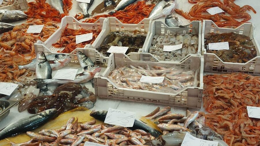 Catania Street Food Tour: Fish Market & City Centre - Pescheria morning market: the smells, the noise, and the fish facts