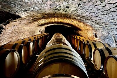 Chablis and Burgundy Wine Tour Run by Sommelier with Lunch - Stop 1 in the Chablis vineyards: terroir, classifications, and historic context