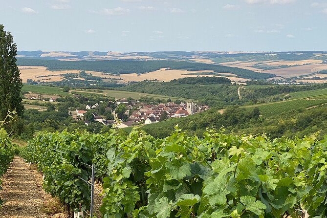 Chablis and Burgundy Wine Tour Run by Sommelier with Lunch - How the tour teaches wine without making you take notes