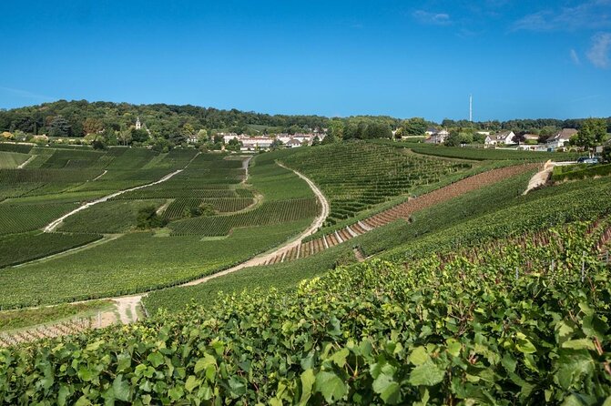 Champagne Tasting Tour Day Trip From Paris - Key reasons this Champagne tour from Paris is worth it