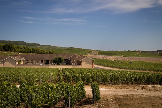 Champagne Tasting Tour Day Trip From Paris - Champagne house visits: tastings, cellar tours, and what you might actually learn