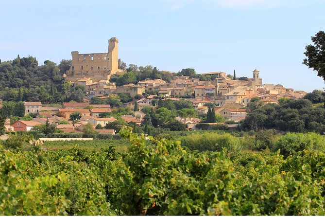 Châteauneuf du Pape Wine Day Tasting Tour including Lunch from Avignon - The Two Other Tastings: Gigondas, Vacqueras, or Séguret
