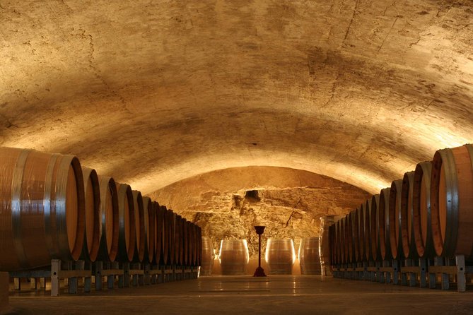 Châteauneuf du Pape Wine Day Tasting Tour including Lunch from Avignon - What You’ll Learn (Without Making It Feel Like Homework)