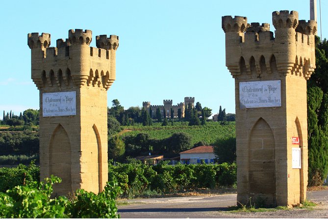 Châteauneuf du Pape Wine Day Tasting Tour including Lunch from Avignon - The Tasting Pace: Enjoy It Like a Pro (Not a Tourist)